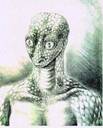 Alien Reptoid type picture